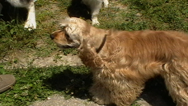 IMGA0177.JPG