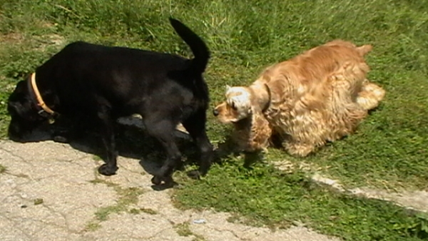 IMGA0197.JPG