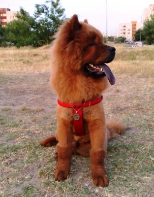 100620091145.jpg