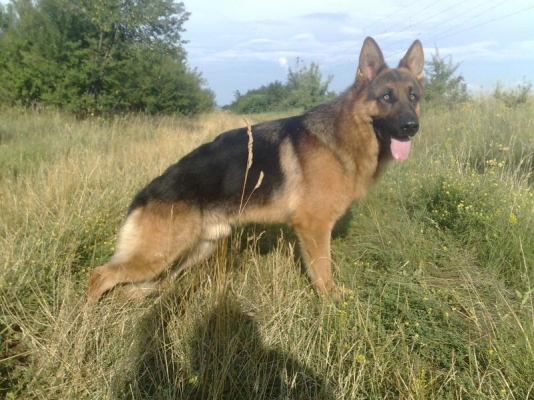 25062009429.jpg