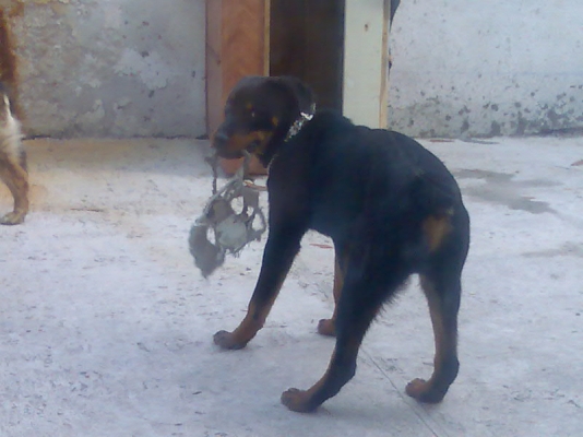 Lqto 2008013.jpg