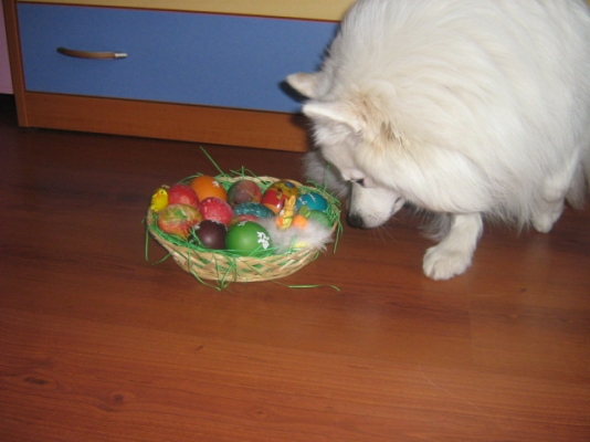 Picture 276.jpg