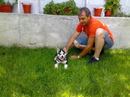 29062009228.jpg
