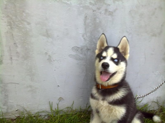 17072009297.jpg