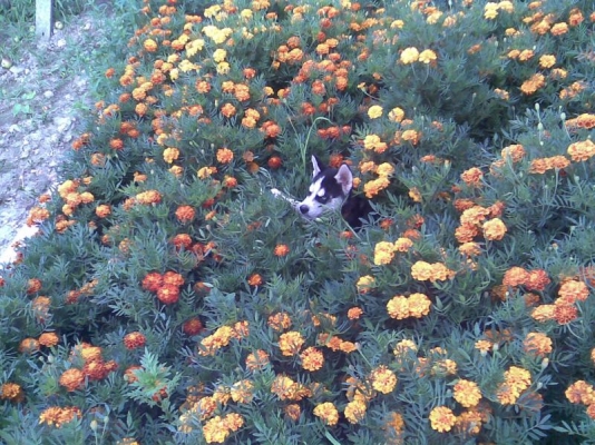 NeLLy ~009.jpg