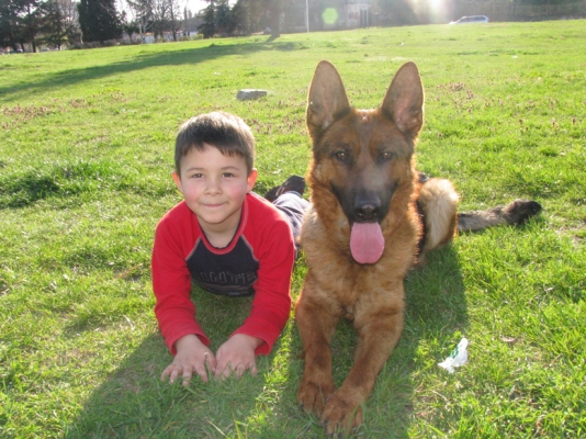 Viki i Drago mlad6i 