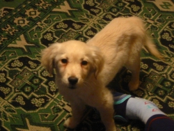 IMG_5102.JPG IMG_5102.JPG