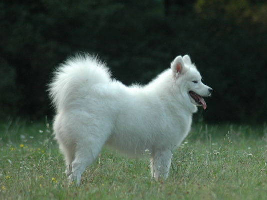 DSC_0034.jpg