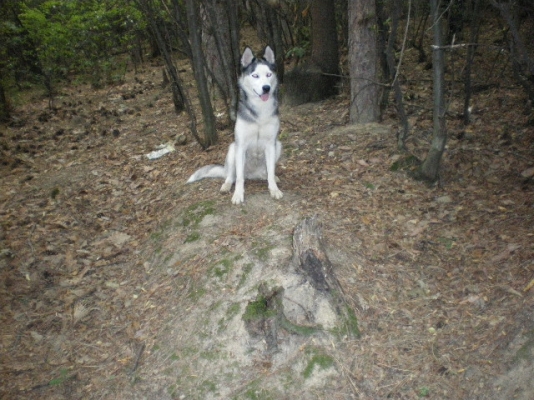 IMGP0937.JPG