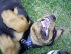 PIC_0039.JPG