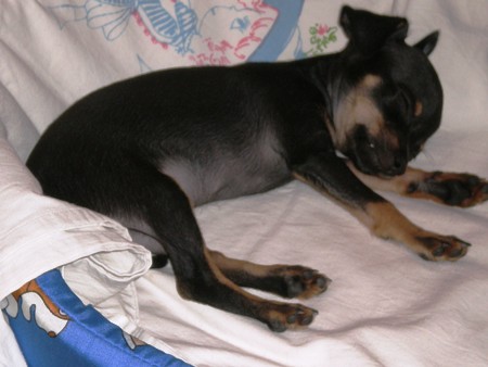 Picture 127.jpg