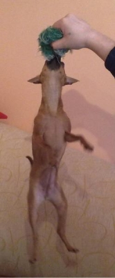 гггггг