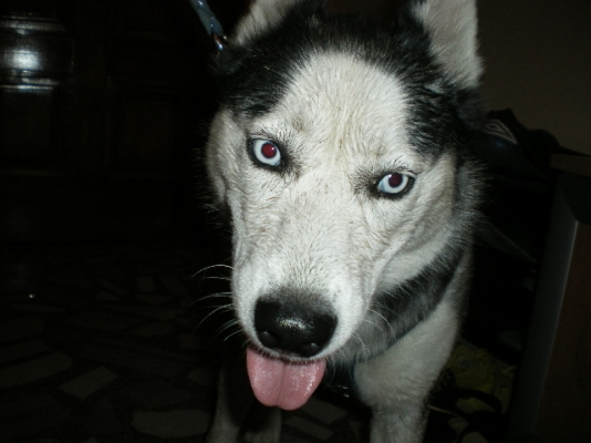 IMGP0022.JPG