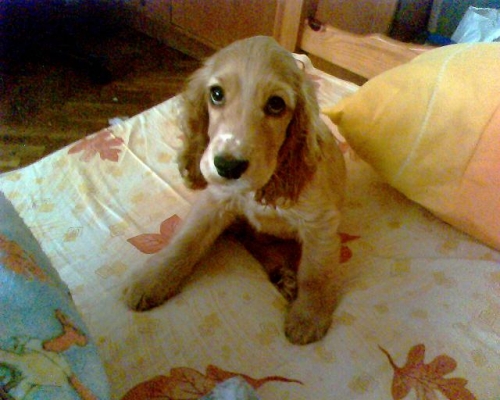 IMG0053A.JPG