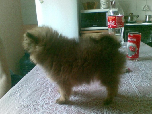 05062009.jpg