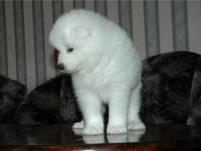 Нана на 2 месеца