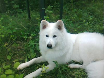IMG010.JPG