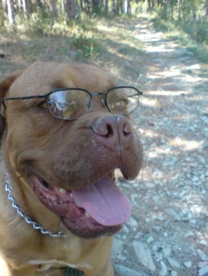 Hooch M.D