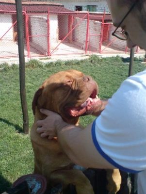 Hooch Dad