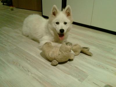 IMAG0567.jpg