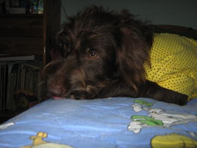 To be or not to be...that is the Question