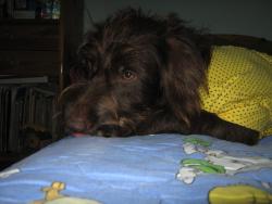 To be or not to be...that is the Question