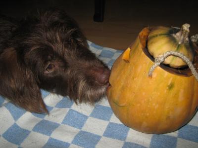 Happy Halloween!