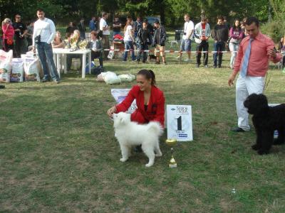 Нана - Best in Show Baby (19.09.09 Stara Zagora)