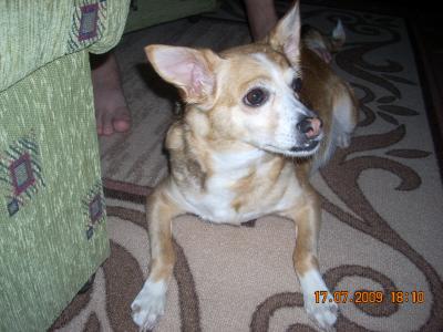 DSCN4465.JPG