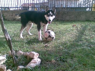 05122009_020.jpg