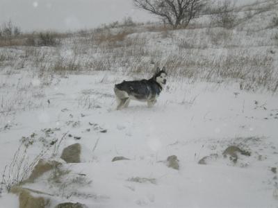 IMGP0313.JPG