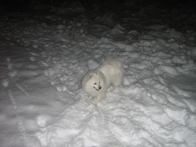 Picture 4749.jpg