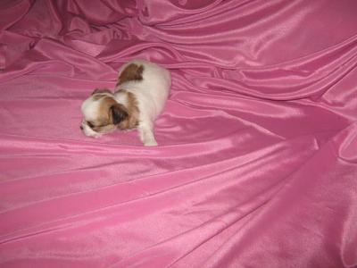 IMG_0143.jpg