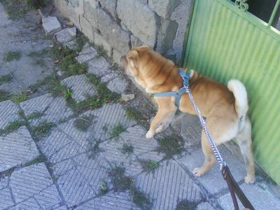 DSC00001.JPG