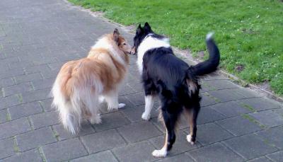 Image038_1.jpg