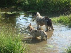 swimming with Mirna