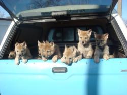 Let us out!