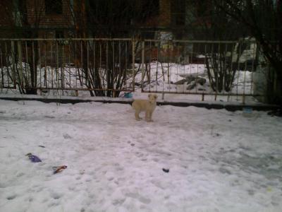12022010173.jpg
