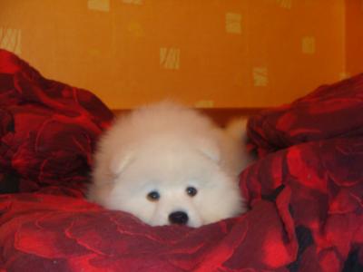 DSC00512.JPG