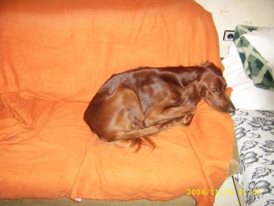SSA40390.JPG
