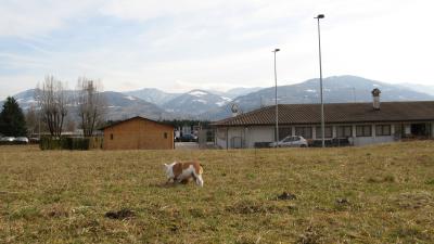 IMG_2823.JPG