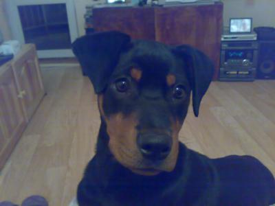 160220101607.jpg