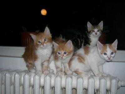 DSCN5241.JPG