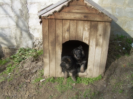 DSCN1755.JPG
