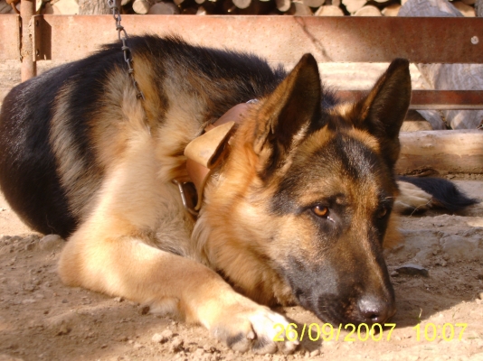 S5300130.JPG