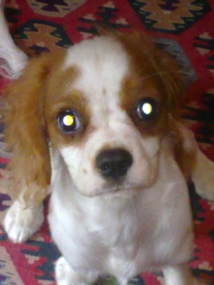 25062010815.jpg
