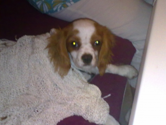 03072010820.jpg