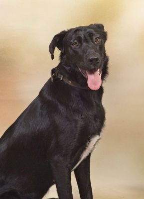 DSCF5800.jpg