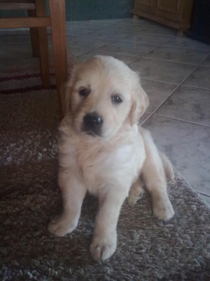 22062010037.jpg