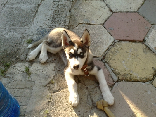 130720102440.jpg